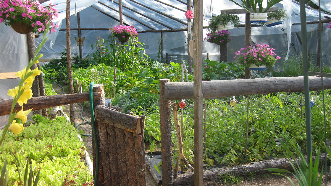 MVC-667F.jpg (23894 bytes)